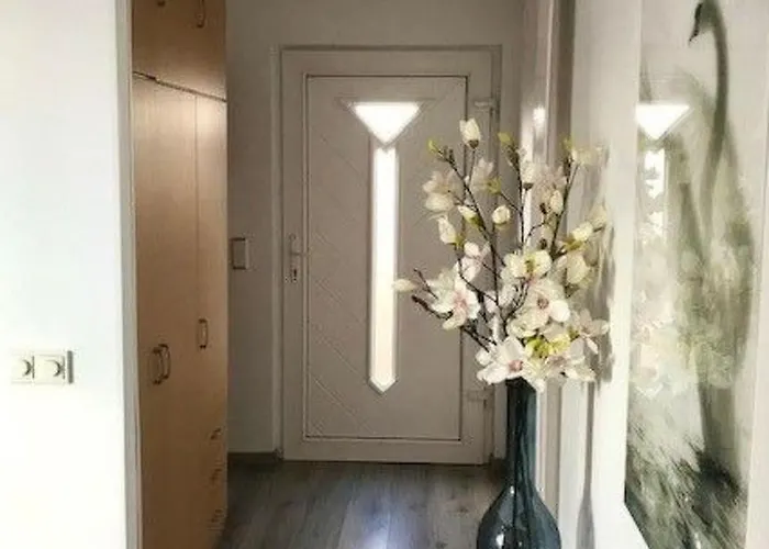 Haus De Blauwe Reiger By Interhome